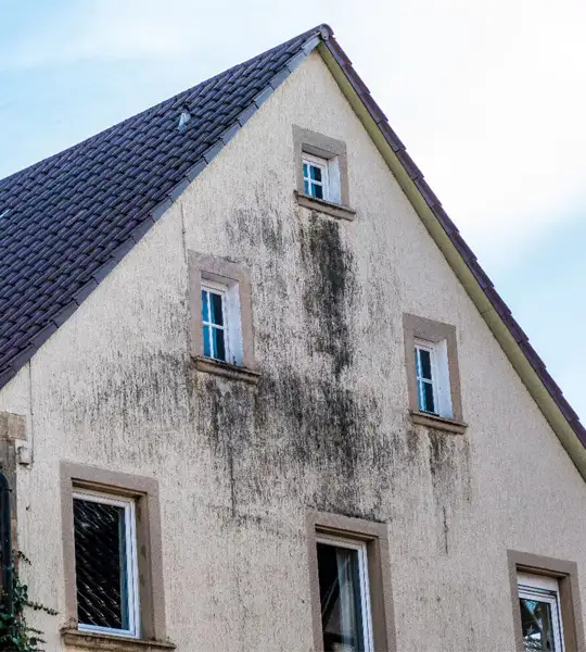 traitement-anti-mousse-facade-et-toiture-38-2